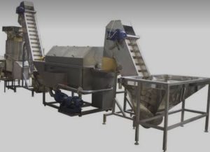Semi Automatic Moringa Leaf Powder Processing Plant