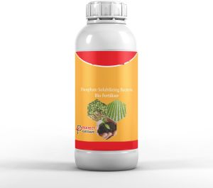 Phosphate Solubilizing Bacteria for Agriculture