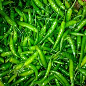 Fresh Green Chilli, Purity : 90%, Taste : Spicy
