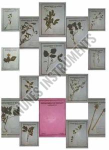 Metal Botany Herbarium Sheet, Color : Silver