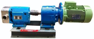 S S Rotary Lobe Pump, Brand Name : Powerpiont