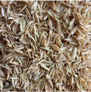 Rice Husk