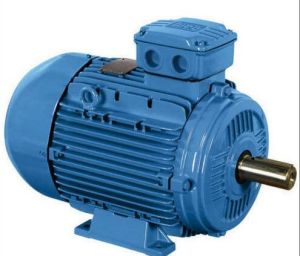 AC Electric Motor, Brand Name : Hindustan
