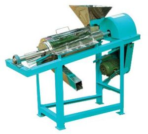 Fruit Pulper, Automation Grade : Automatic