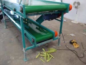SS Belt Conveyors, Brand Name : Goldin