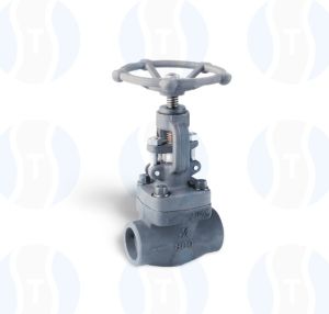 Forged Globe Valve