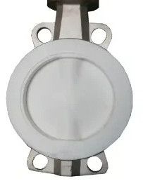 Duplex Wafer Butterfly Valve
