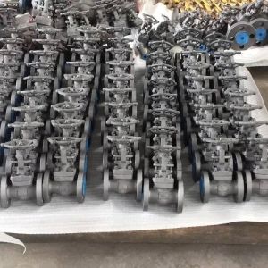 Non Rising Stem Gate Valve