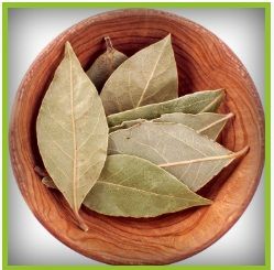Bay Leaves for Cooking, Flavoring