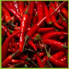 Red Chilly