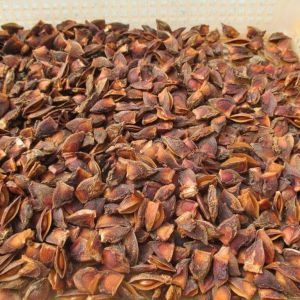 Broken Star Anise, Color : Natural, Moisture : 13.5% Max