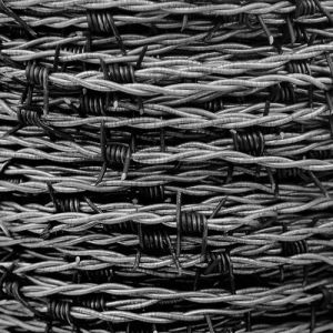 Barbed Wire