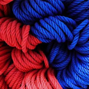 Polyester Ropes