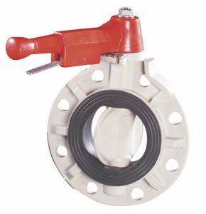 Stainless Steel Butterfly Valve Lever Operated