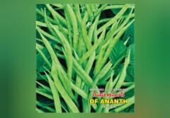 Fresh Cluster Beans for Edible