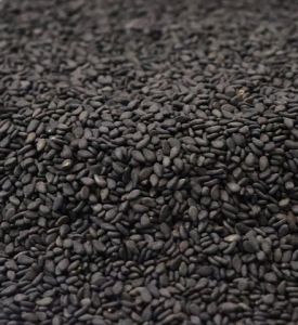 Z Black Sesame Seeds, Purity : 99.95%