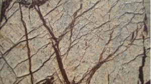 Rainforest Brown Brushed Marble