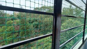 Anti- Bird Nets, Weight : Lightweight