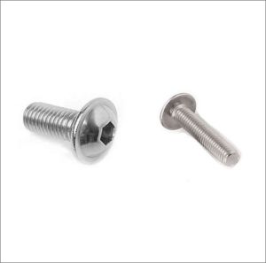SS 304 Hexagon Socket Button Flange Screw