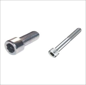 SS 304 Hexagon Socket Head Cap Screw