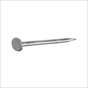 Electro Galvanized Roofing Nail