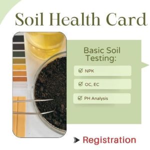 Basic Soil Testing Kit