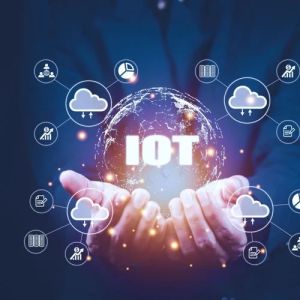 Iot Development Service