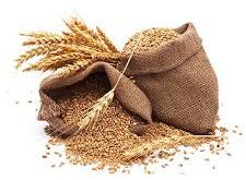Wheat
