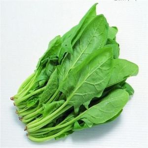 A Grade Green Fresh Spinach Leaves