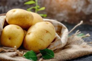 Brown Organic Fresh Potato