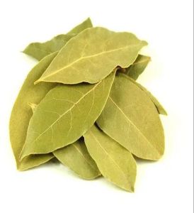 Dry Bay Leaves
