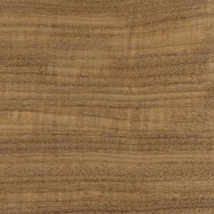Afromosia Teak Wood 8 - 10%, Botanical Name : Pericopsis Elata