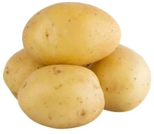 Potato