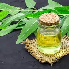 Eucalyptus Oil