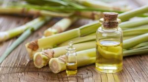 Lemongrass Oil