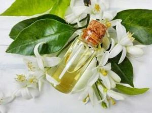 Neroli Oil