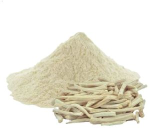 Shatavari Powder