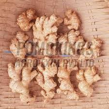 B Grade Fresh Ginger