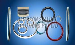 M-UNI Spring Energized Seals