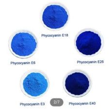 phycocyanin powder