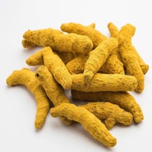 Turmeric