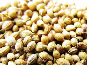 Coriander Seed