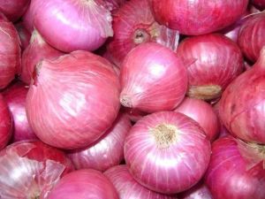 Fresh Onion