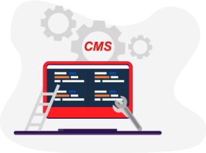 CMS Development