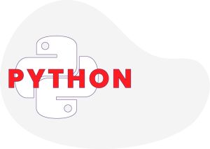 Python Development