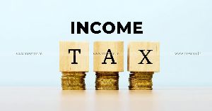 Income Tax Consultant Service