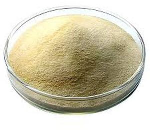 Sodium Alginate Powder