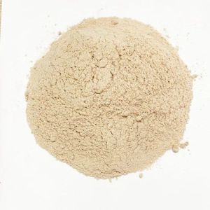 Wood Powder