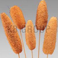 Decorative Dried Plants