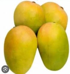 fresh mango
